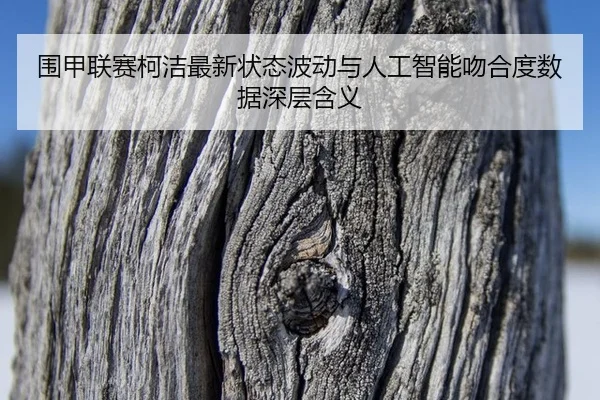 围甲联赛柯洁最新状态波动与人工智能吻合度数据深层含义